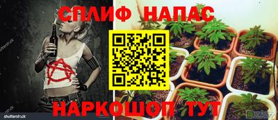 спиды Железноводск