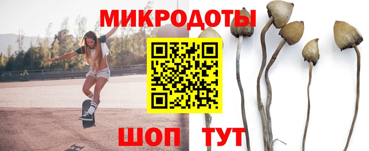 Галлюциногенные грибы Psilocybe  Вход с VPN  Асбест  Галлюциногенные грибы мухоморы 
